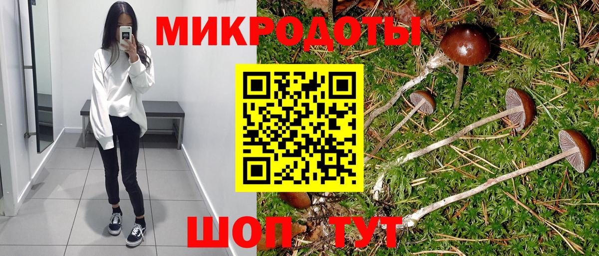 Псилоцибиновые грибы Psilocybine cubensis Железногорск